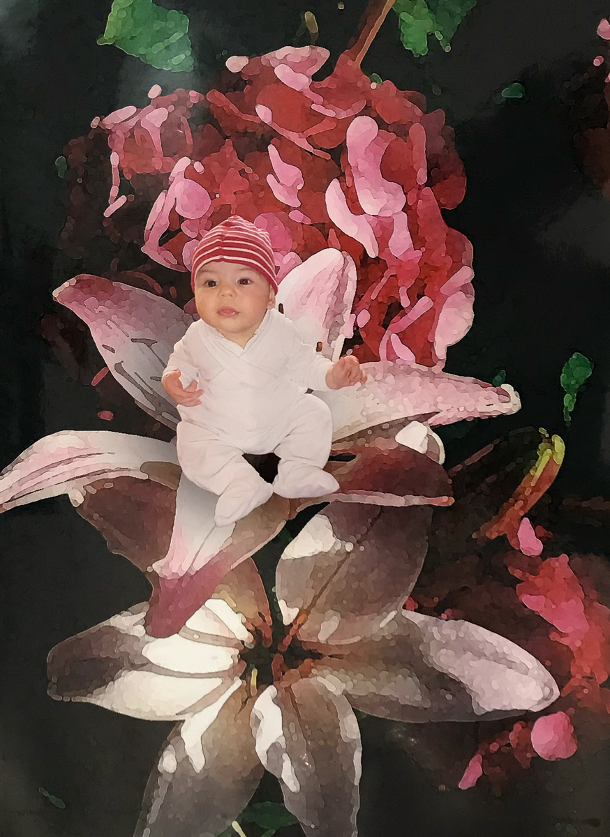 Elisabeth Schweighofer Babyfotografie Blumenkind Blumenkinder